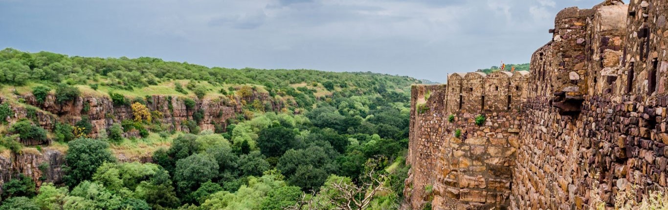 ranthambore tiger reserve