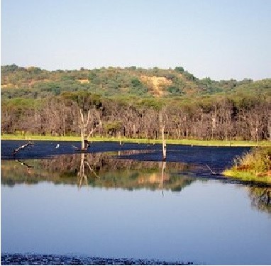 Mansarover Lake